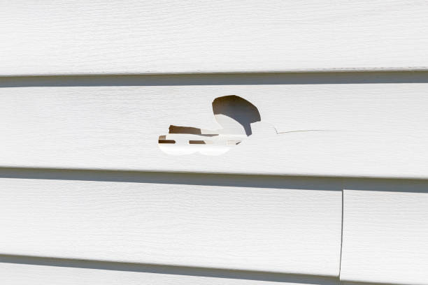 Best Composite Siding  in Dunn, NC